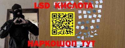 сатива Славгород