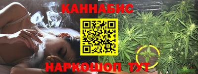 сатива Славгород