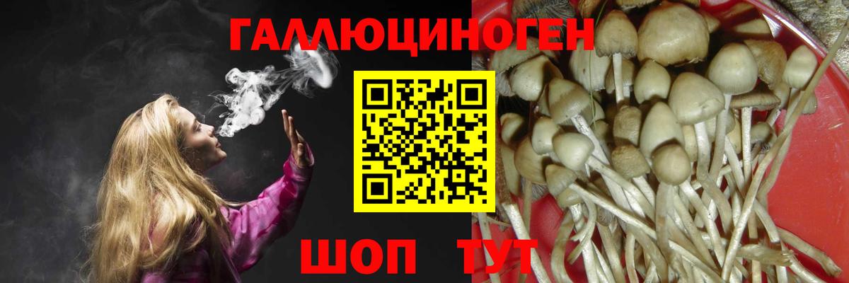 Галлюциногенные грибы Psilocybine cubensis  Псилоцибиновые грибы GOLDEN TEACHER  купить закладку  Вход с VPN  Мытищи 